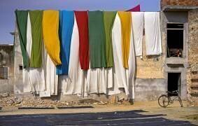 The colorful sun bath (Joe B N) - Muzeo.com