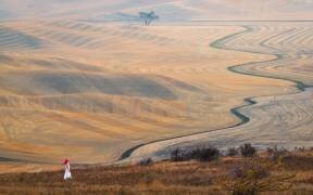 La courbe à Wheatfield (John J. Chen) - Muzeo.com