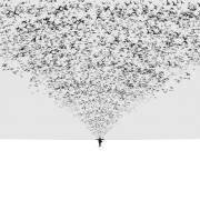The Dark Half (Hossein Zare) - Muzeo.com