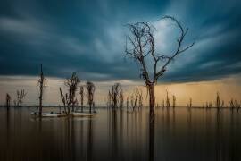 The death valley (Isam Telhami) - Muzeo.com
