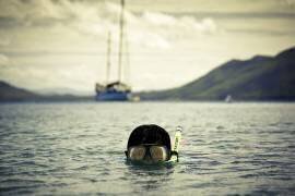 The Diver (El Robboz) - Muzeo.com