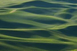 The Earth's Fine Skin (李从军 Austin) - Muzeo.com