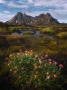 The Highlands of Iceland (YY DB) - Muzeo.com