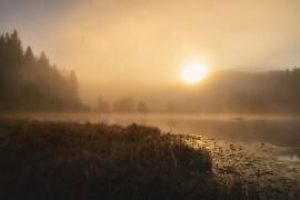 The incredible light of an October morning (Norbert Maier) - Muzeo.com