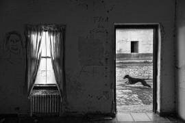 The last days of the town (Jose C. Lobato) - Muzeo.com