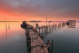 The last... Light (Alvaro Roxo) - Muzeo.com