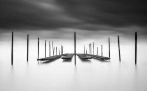 The Oyster Bar (Christophe Staelens) - Muzeo.com