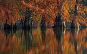 The Pillars of the Earth (Barre Thierry) - Muzeo.com