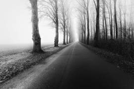 The road to nowhere (Michael) - Muzeo.com