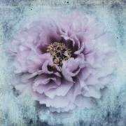 The season I love (Stefan Eisele) - Muzeo.com