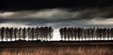 The space between (Harry Verschelden) - Muzeo.com