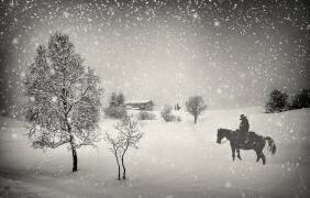 The waiting (Vito Guarino) - Muzeo.com