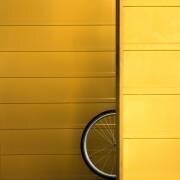 The Wheel (Gerard Jonkman) - Muzeo.com