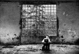 The window for the light, the apple for the job (Carlo Ferrara) - Muzeo.com