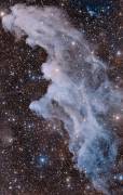 The Witch Head Nebula (Vikas Chander) - Muzeo.com