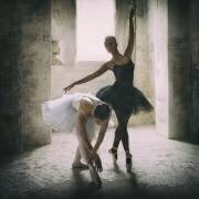 The subtle bow (Roswitha Schleicher-Schwarz) - Muzeo.com