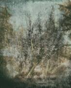To everything there is a season (Delphine Devos) - Muzeo.com