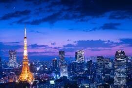 Tokyo night view (Takao Kataoka) - Muzeo.com
