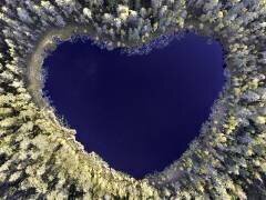 Tout ce dont vous avez besoin est l'amour (Christian Lindsten) - Muzeo.com