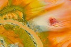 Couleurs toxiques (George-Tiberiu Bufan) - Muzeo.com