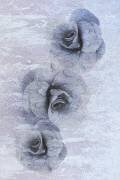Traces of fading beauty (Ludmila Shumilova) - Muzeo.com