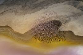 Traversée du lac Natron (Phillip Chang) - Muzeo.com