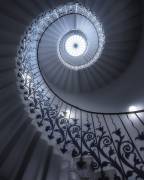 Tulip Stairs (Massimo Cuomo) - Muzeo.com