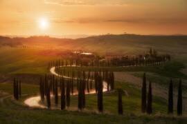 Tuscany evening (Rostovskiy Anton) - Muzeo.com