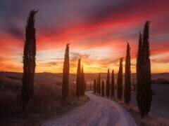 Tuscany sunset (Rostovskiy Anton) - Muzeo.com