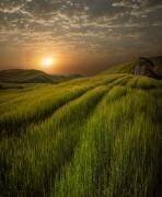 Tuscany's energy (Isam Telhami) - Muzeo.com