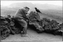 Un touriste prend une photo d'une corneille (Lothar M. Peter) - Muzeo.com