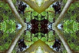 Unnatural 65 (Giovanni Cafagna) - Muzeo.com