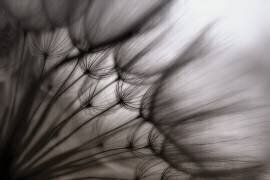 Untitled (Keren Or) - Muzeo.com