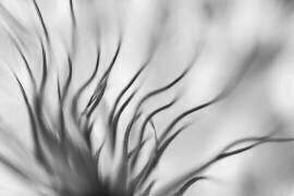 Untitled (Keren Or) - Muzeo.com