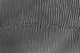 Untitled (Mohammadreza Momeni) - Muzeo.com