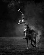 Untitled (Rob Li) - Muzeo.com