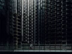Urban forest (Yasuhiro Takachi) - Muzeo.com