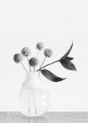 Vase fleur de ciboulette (1x Studio III) - Muzeo.com