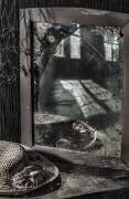 Veil of memory (Larisa Lofitskaya) - Muzeo.com