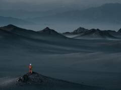 Waiting for return (Bingo Z) - Muzeo.com