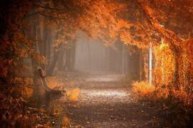 Waiting to Fall (Ildiko Neer) - Muzeo.com