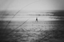 Walk it Off (Aurora) - Muzeo.com