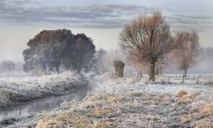Warmth - cold (Roman Lipinski) - Muzeo.com