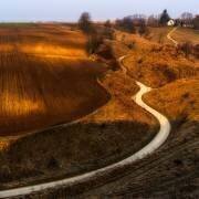 Way home (Slawomir Kowalczyk) - Muzeo.com