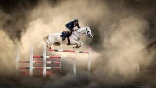 White horse (Arif Ünsal) - Muzeo.com