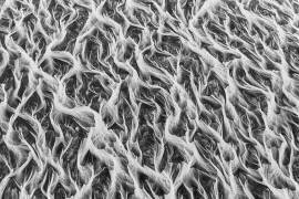 Wide river shapes (Peter Svoboda MQEP) - Muzeo.com