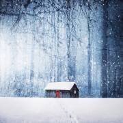 Winter (Bess Hamiti) - Muzeo.com