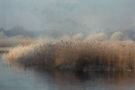 Winter in holland (Annie Keizer) - Muzeo.com
