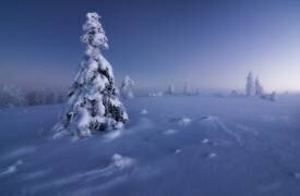 Winter is back (Fabian Muller) - Muzeo.com