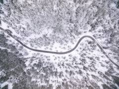 L'hiver arrive (Antonio Carrillo Lopez) - Muzeo.com